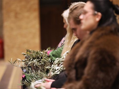 /A/2026/3/Cvjetnica/Nadbiskup Kutleša predvodio misno slavlje Nedjelje Muke Gospodnje u Zagrebačkoj katedrali (16).JPG