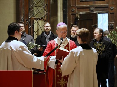 /A/2026/3/Cvjetnica/Nadbiskup Kutleša predvodio misno slavlje Nedjelje Muke Gospodnje u Zagrebačkoj katedrali (2).JPG