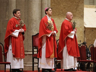 /A/2026/3/Cvjetnica/Nadbiskup Kutleša predvodio misno slavlje Nedjelje Muke Gospodnje u Zagrebačkoj katedrali (21).JPG