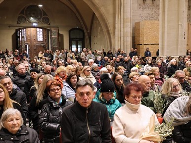 /A/2026/3/Cvjetnica/Nadbiskup Kutleša predvodio misno slavlje Nedjelje Muke Gospodnje u Zagrebačkoj katedrali (26).JPG