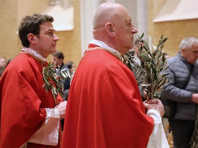 /A/2026/3/Cvjetnica/Nadbiskup Kutleša predvodio misno slavlje Nedjelje Muke Gospodnje u Zagrebačkoj katedrali (3).JPG