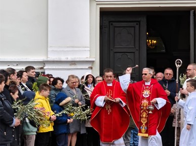 /A/2026/3/F/Biskup Gorski Cvjetnica (2).jpeg