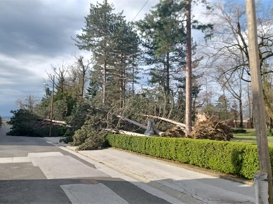 /A/2026/3/G/U nevremenu oštećeno groblje i crkva Krista Kralja na Mirogoju (1).jpeg