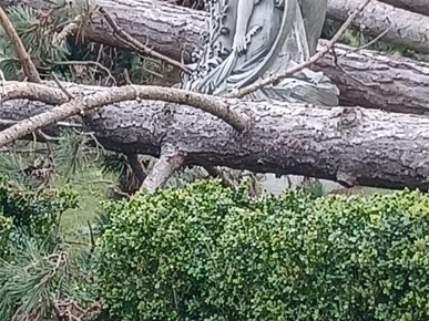 /A/2026/3/G/U nevremenu oštećeno groblje i crkva Krista Kralja na Mirogoju (12).jpeg