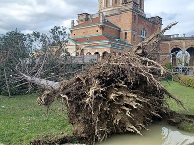 /A/2026/3/G/U nevremenu oštećeno groblje i crkva Krista Kralja na Mirogoju (6).jpeg