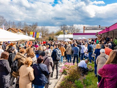 /A/2026/3/Karlovac - manja bazilika/260314 proglašenje Bazilike Foto Josip Vuković (17).jpg