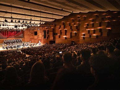 /A/2026/4/A/Lisinski - koncert Zaklade Anamarija Carević (2).jpg